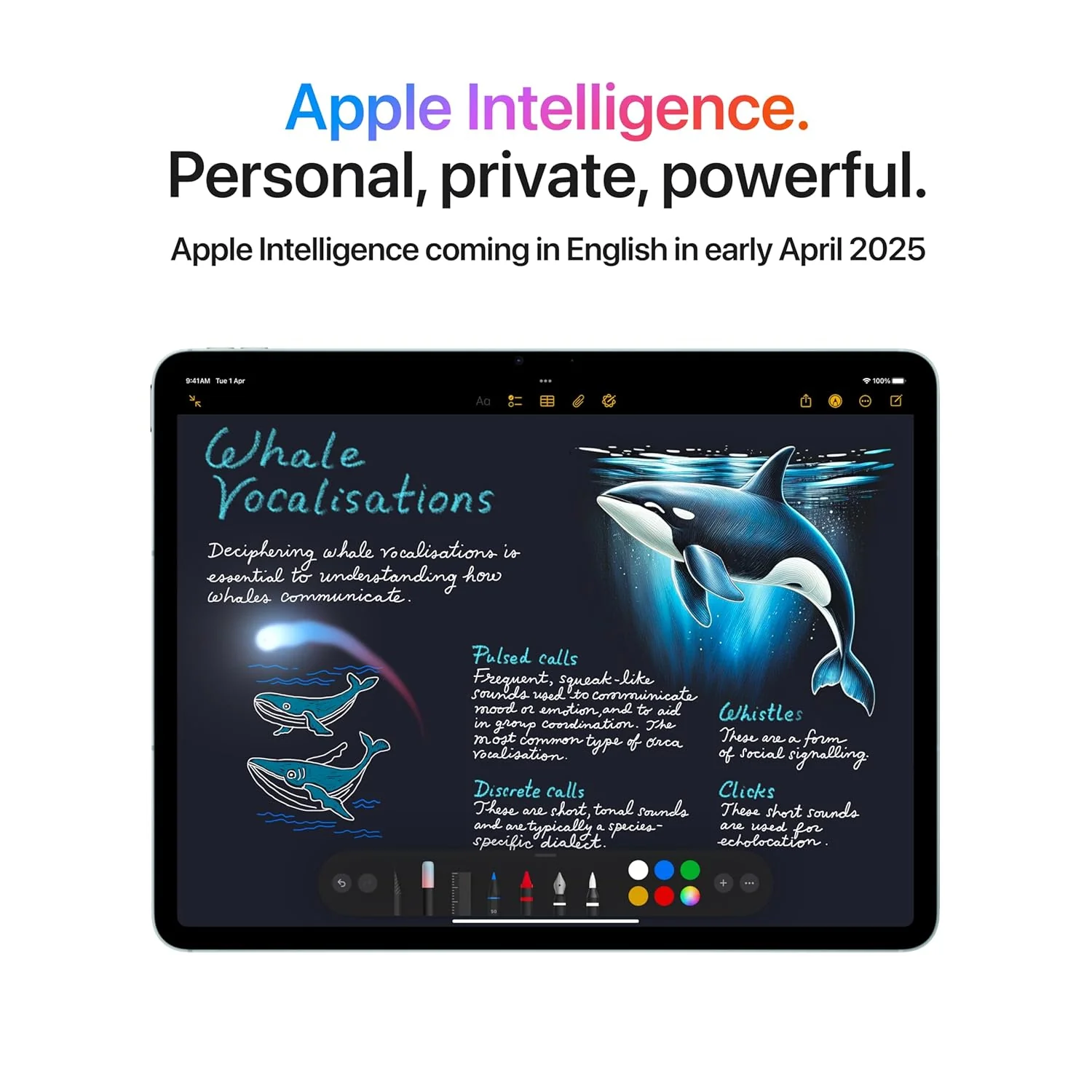 Apple iPad Air 13″ with M3 chip: Built for Apple Intelligence, Liquid Retina Display, 256GB, 12MP Front/Back Camera, Wi-Fi 6E, Touch ID, All-Day Battery Life — Space Grey - Image 5