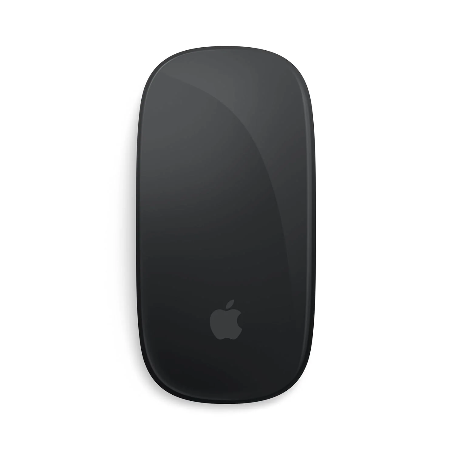 Apple Magic Mouse - Black Multi-Touch Surface - USB-C