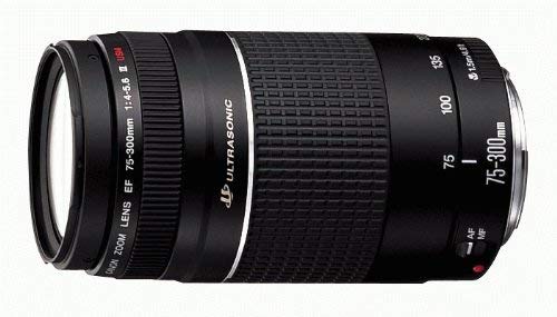 Canon EF 75-300 mm f/4-5.6 III Telephoto Zoom Lens for Canon SLR Cameras (Black) - Image 3