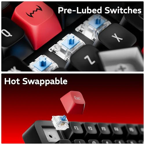 daWg HighKEY 718, 75% Wireless Mechanical Keyboard, RGB, daWg Glacier Tactile Switches, Hot Swap, Gasket with 5 Layer Absorption, 4000mAh, 30 Days, (Type-C, 2.4Hz, 3*BT), Volume Knob, Advance Software - Image 5