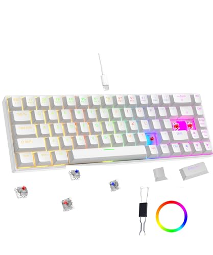 Dr Luxur Shadow Pro 60% Wired Anti-ghosting Gaming Keyboard, 68 Keys Compact Mechanical Keyboard, Hot Swappable OUTEMU Red/Blue Switch, 24 Lighting Modes, USB C Cable (Shadow Pro - Red/Blue Switch)