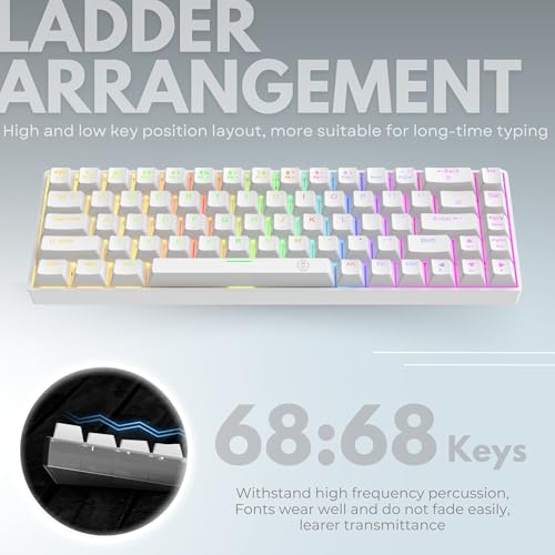 Dr Luxur Shadow Pro 60% Wired Anti-ghosting Gaming Keyboard, 68 Keys Compact Mechanical Keyboard, Hot Swappable OUTEMU Red/Blue Switch, 24 Lighting Modes, USB C Cable (Shadow Pro - Red/Blue Switch) - Image 6