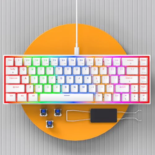Dr Luxur Shadow Pro 60% Wired Anti-ghosting Gaming Keyboard, 68 Keys Compact Mechanical Keyboard, Hot Swappable OUTEMU Red/Blue Switch, 24 Lighting Modes, USB C Cable (Shadow Pro - Red/Blue Switch) - Image 7