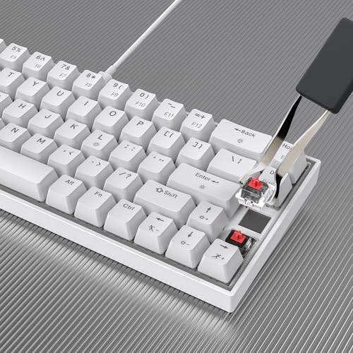Dr Luxur Shadow Pro 60% Wired Anti-ghosting Gaming Keyboard, 68 Keys Compact Mechanical Keyboard, Hot Swappable OUTEMU Red/Blue Switch, 24 Lighting Modes, USB C Cable (Shadow Pro - Red/Blue Switch) - Image 8
