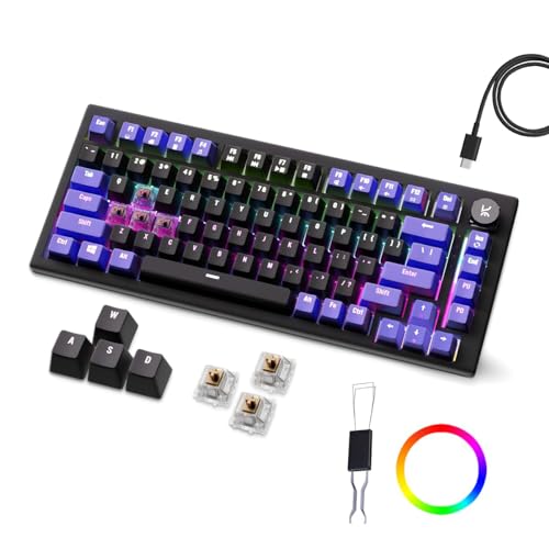 Kreo Hive 75 Mechanical Gaming Keyboard with Per-Key RGB Backlight, Hot-Swappable Switches, Anti-Ghosting Keys and Detachable USB-C Cable