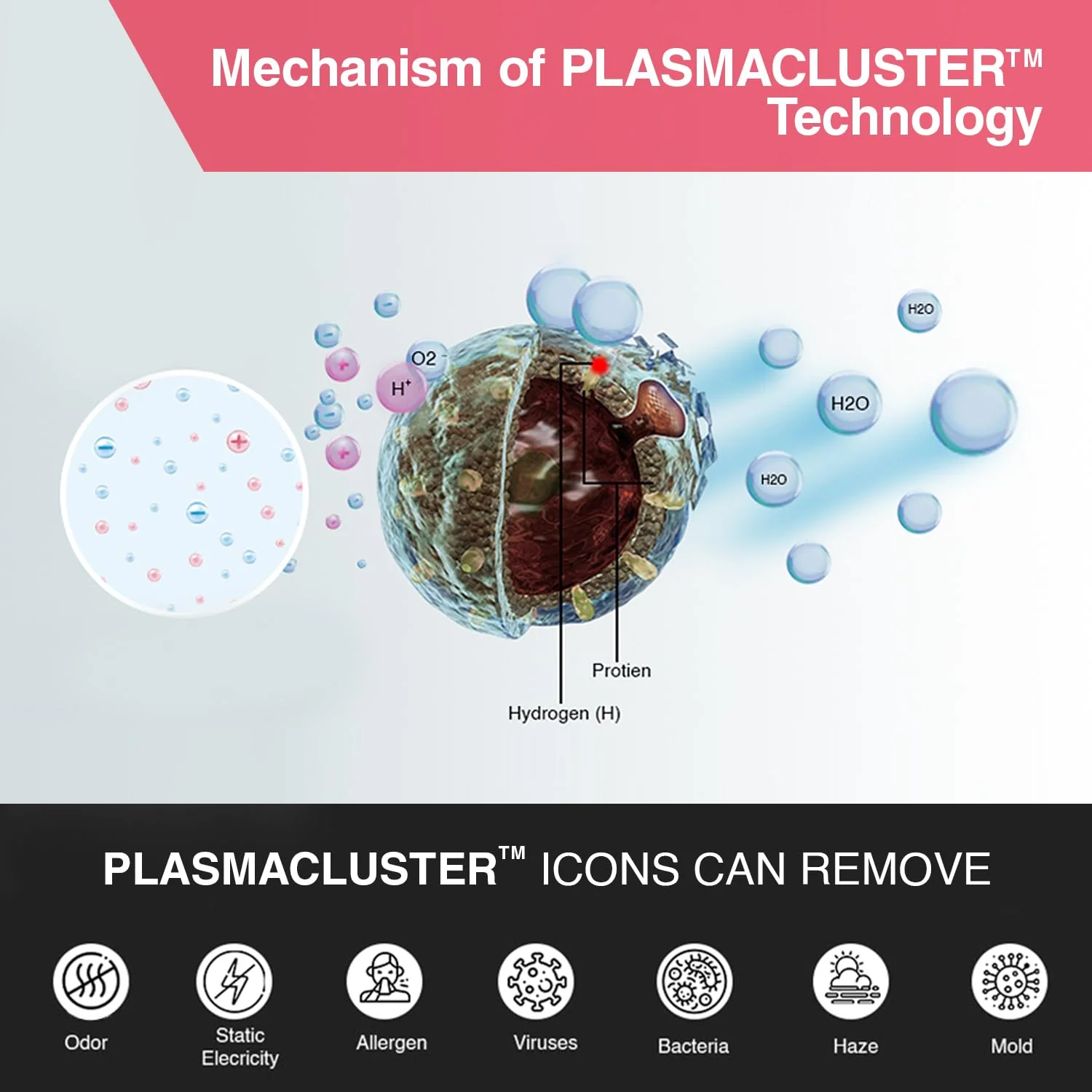 Sharp Air Purifier for Home & Office with Plasmacluster (Removes Bacteria, Virus, Mold, VOCs I JAPAN TECHNOLOGY I Traps 99.97% Pollutants I HEPA, Carbon & Pre Filter I 250 sq.ft. (White) - Image 5