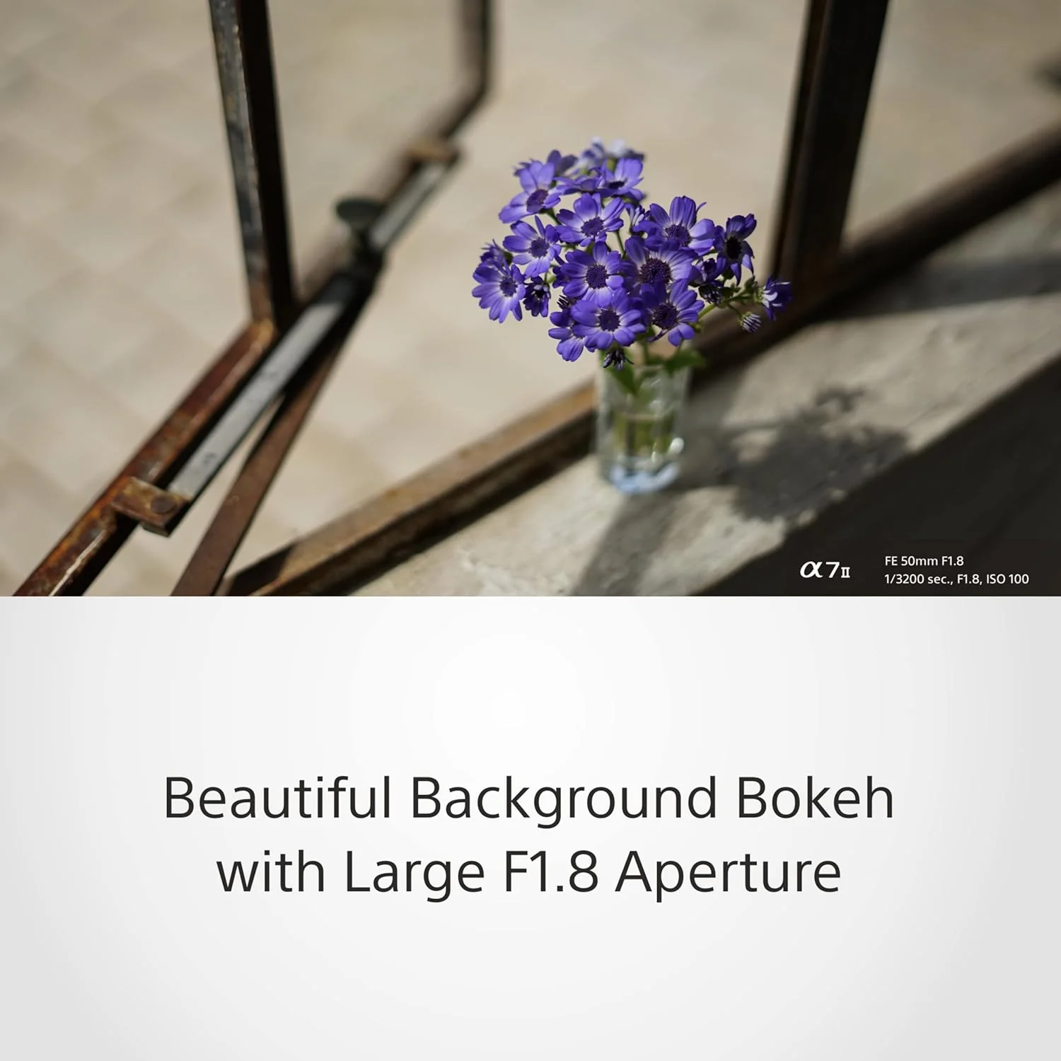 Sony E Mount FE 50mm F1.8 Full-Frame Lens (SEL50F18F) | Standard Prime | for Soft Bokeh - Image 4